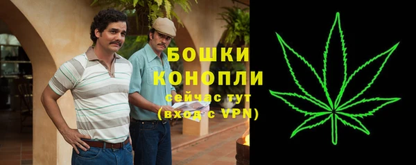 дурь Белоозёрский