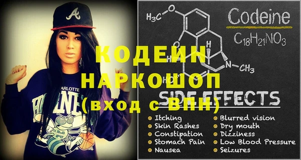 дурь Сясьстрой