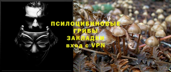 дурь Белоозёрский