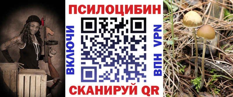 Псилоцибиновые грибы Cubensis  цены наркотик  Высоковск 