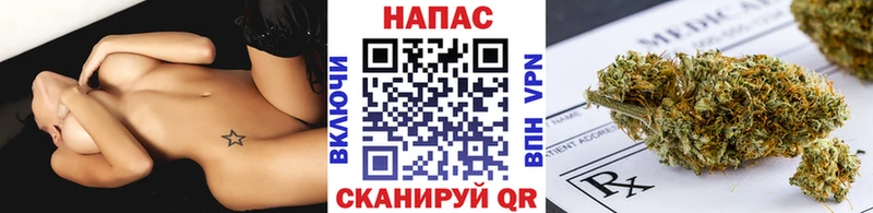 МАРИХУАНА SATIVA & INDICA  hydra как зайти  Высоковск 